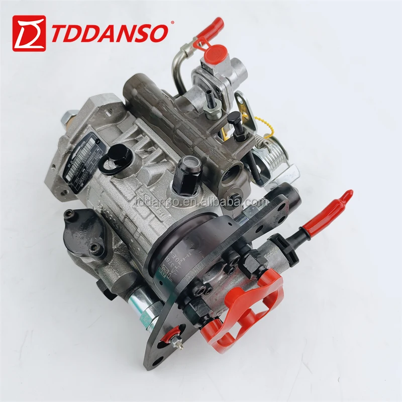 

Hot Sale Original Diesel Fuel Injector Pump 9320A530H 9320A531H 9320A533H 9320A536H for C-AT 315D2