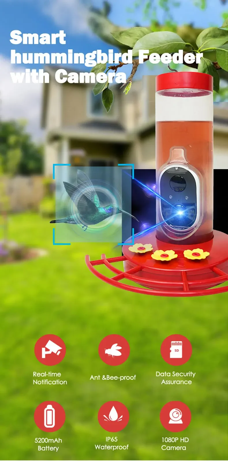 

-Умная кормушка для птиц с камерой 1080 HD для управления приложением Tuya AI, интеллектуальная идентификация, принадлежности для птиц и птиц