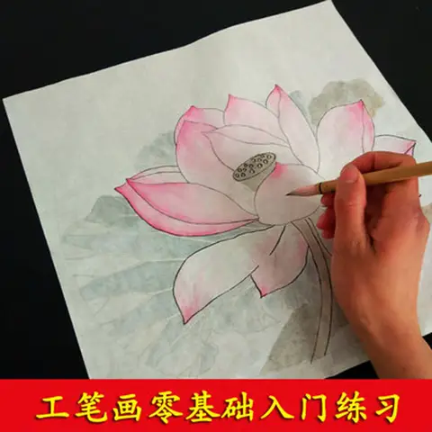 중국 수채화 식물 동물 그림 복사 원고, 송 왕조, Xuan 종이 복사