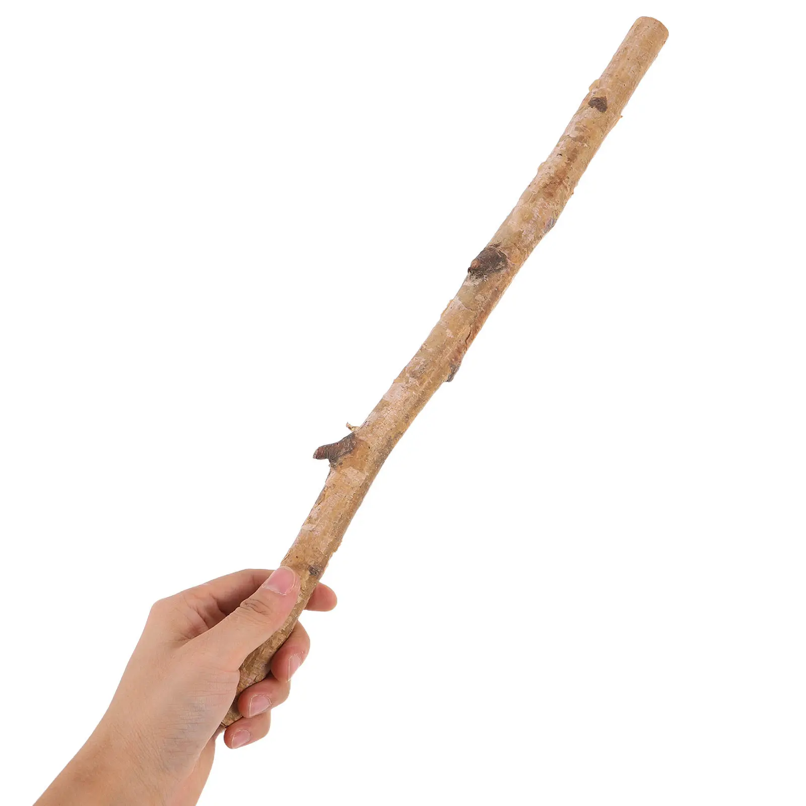 6 brins de bois naturels pour artisanat, décoration rustique, décoration de scène de mariage, arrangement floral pour fête, insert pour vase