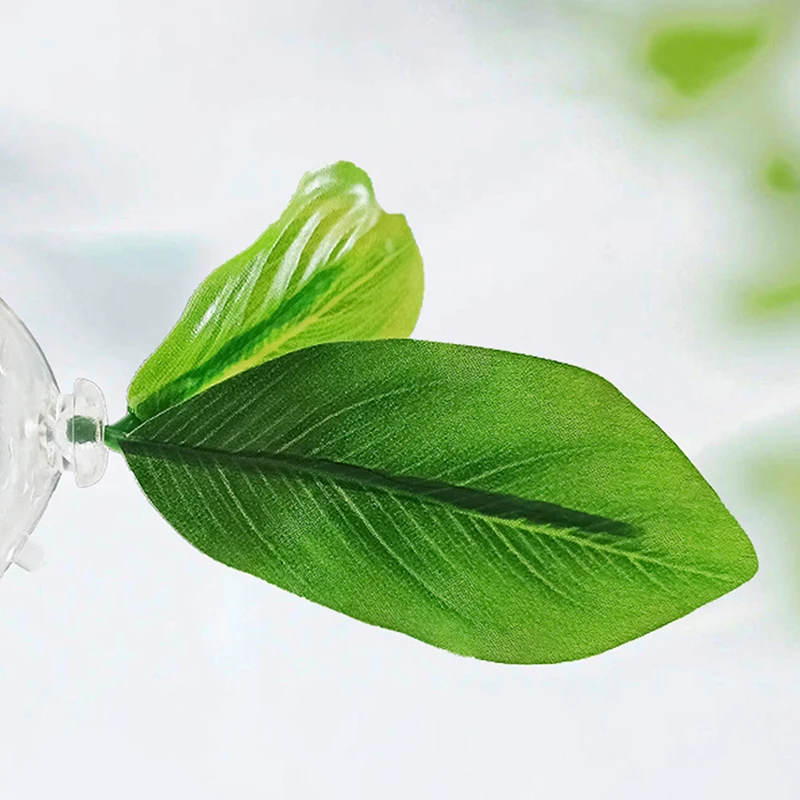 1 قطعة نفق بيتا إخفاء بركة استراحة الأسماك مخبأ التورخ خزان الديكور أنبوب أكريليك حوض السمك كهف لتحسين صحة بيتا #3