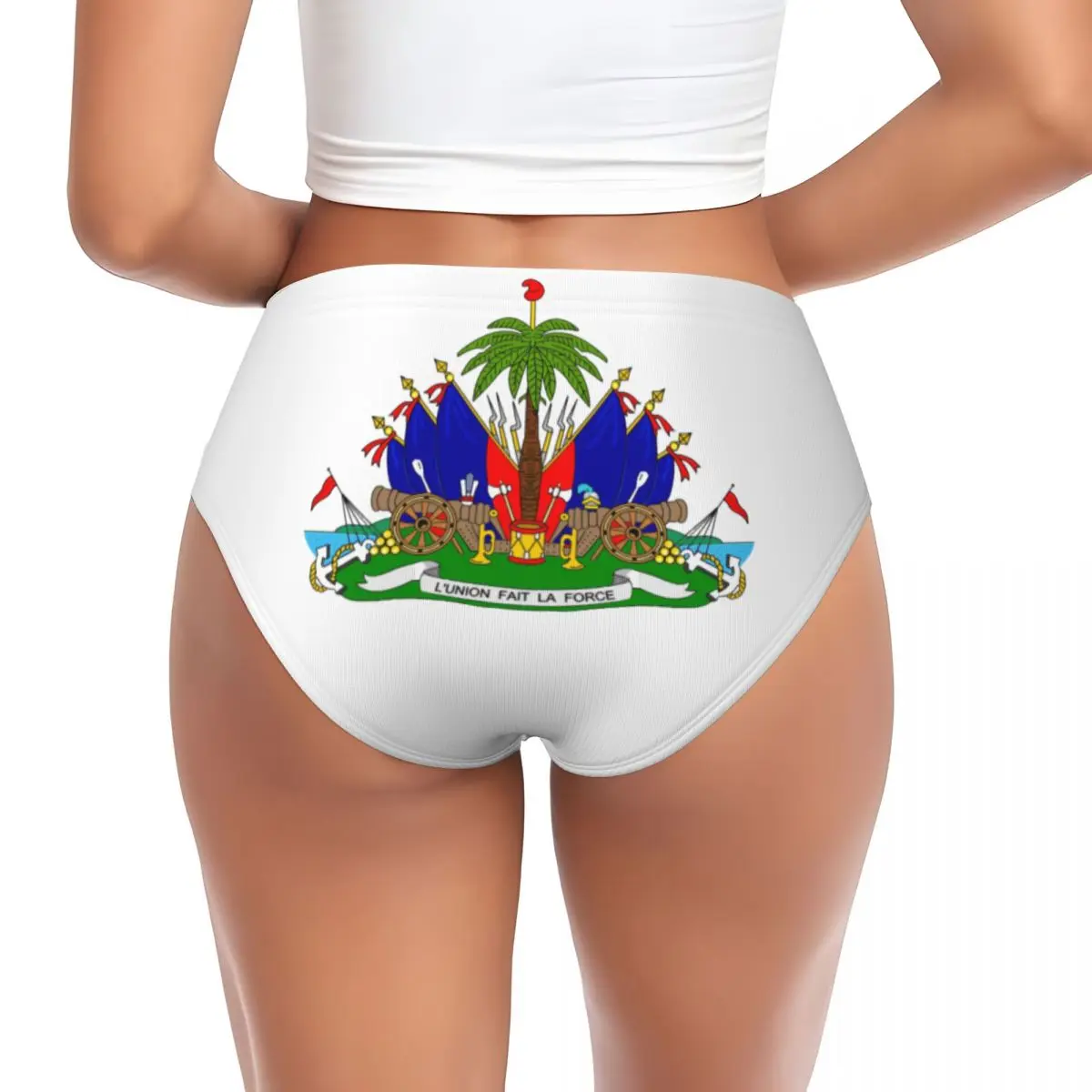Custom Women's Haiti Flag Panties Breathable Briefs Underwear Valentine's Day Gifts Underpants