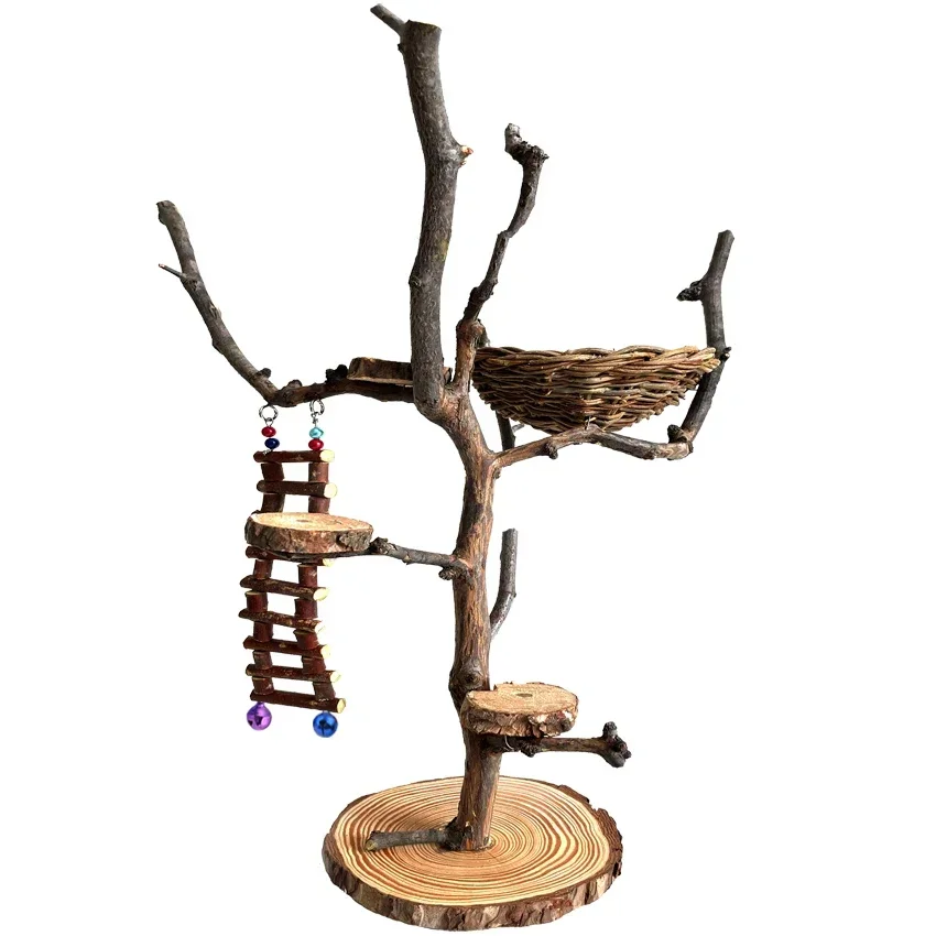 Parrot Stand Tree Branch Bird Stand Floor Type Bird Training Stand