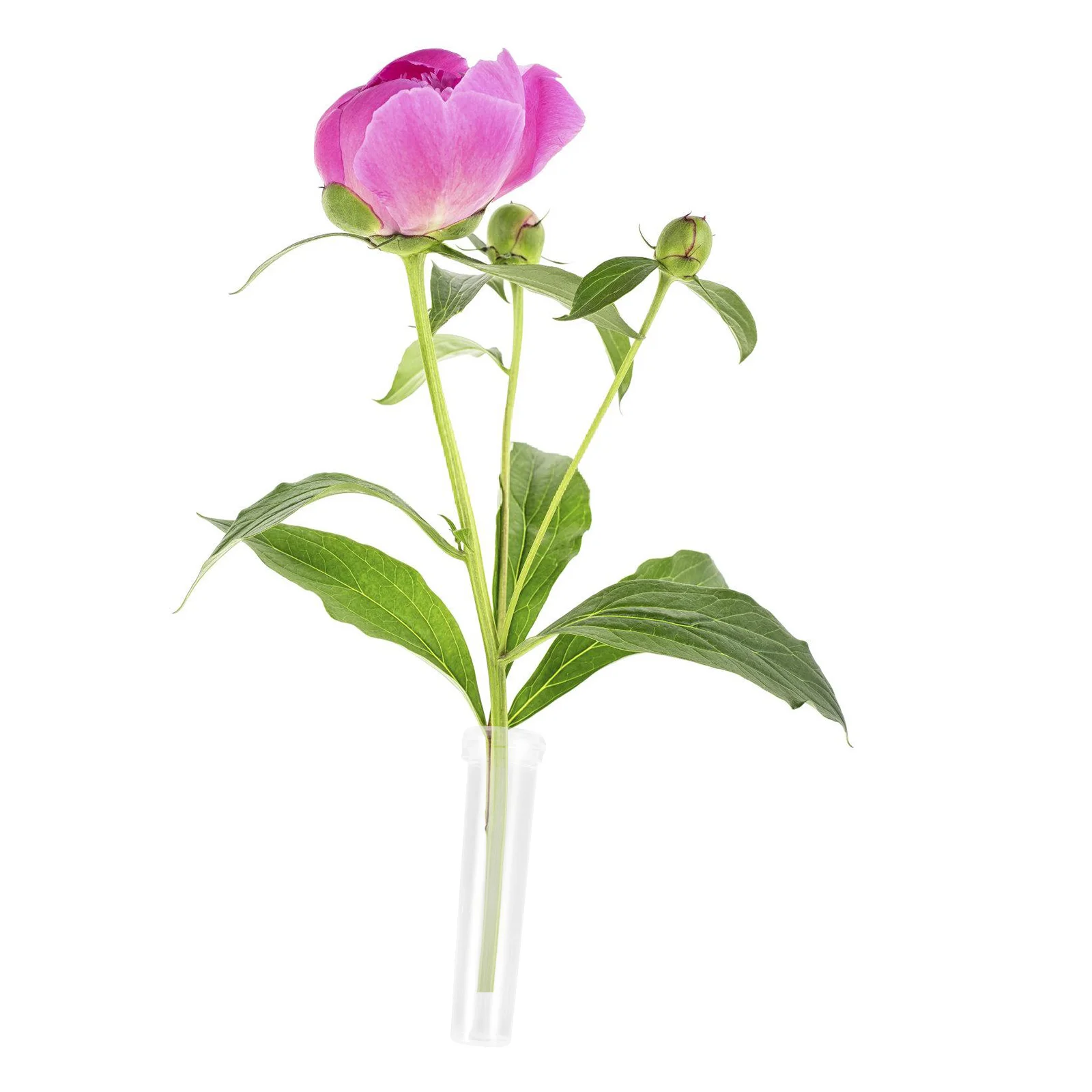 

1 set 1 set Floral Tubes 7cm White Red Plastic Bottles Keeps Flowers Fresh Longer Garden Plastic Flower Bottles Supplies