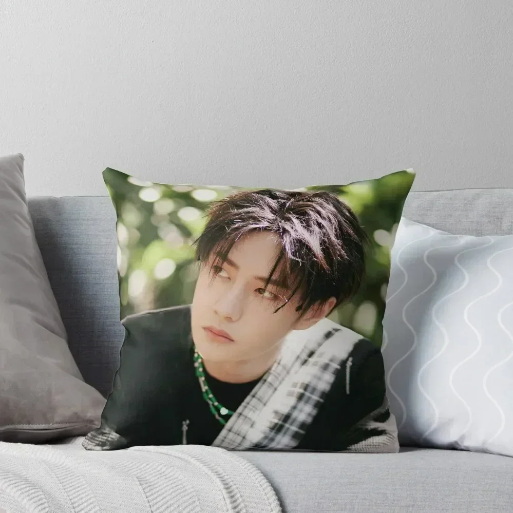 

Wang Yibo Throw Pillow Pillowcase Cushion Luxury Living Room Decorative Cushions pillow