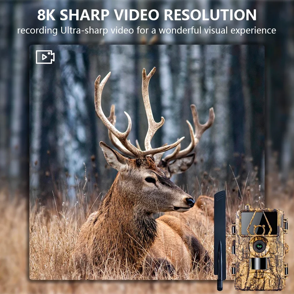 كاميرا الصيد الذكية PR801G 4G LTE 8K/60M، رؤية ليلية بالأشعة تحت الحمراء، مقاومة للماء للأمن الخارجي وكاميرا مراقبة الحيوانات والحياة البرية