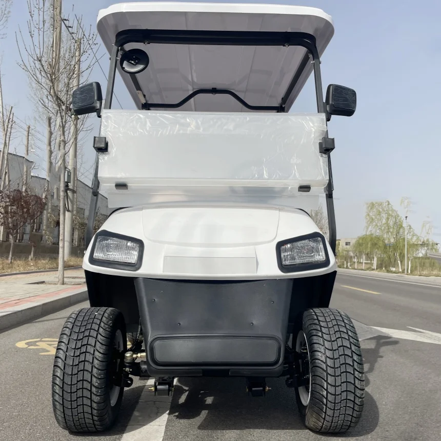 

Electric Golf Cart Hot Sale Customized 2 Seat Club VIP Modern Fashion Adult Electric Car Free Customized Color Golf Scooter