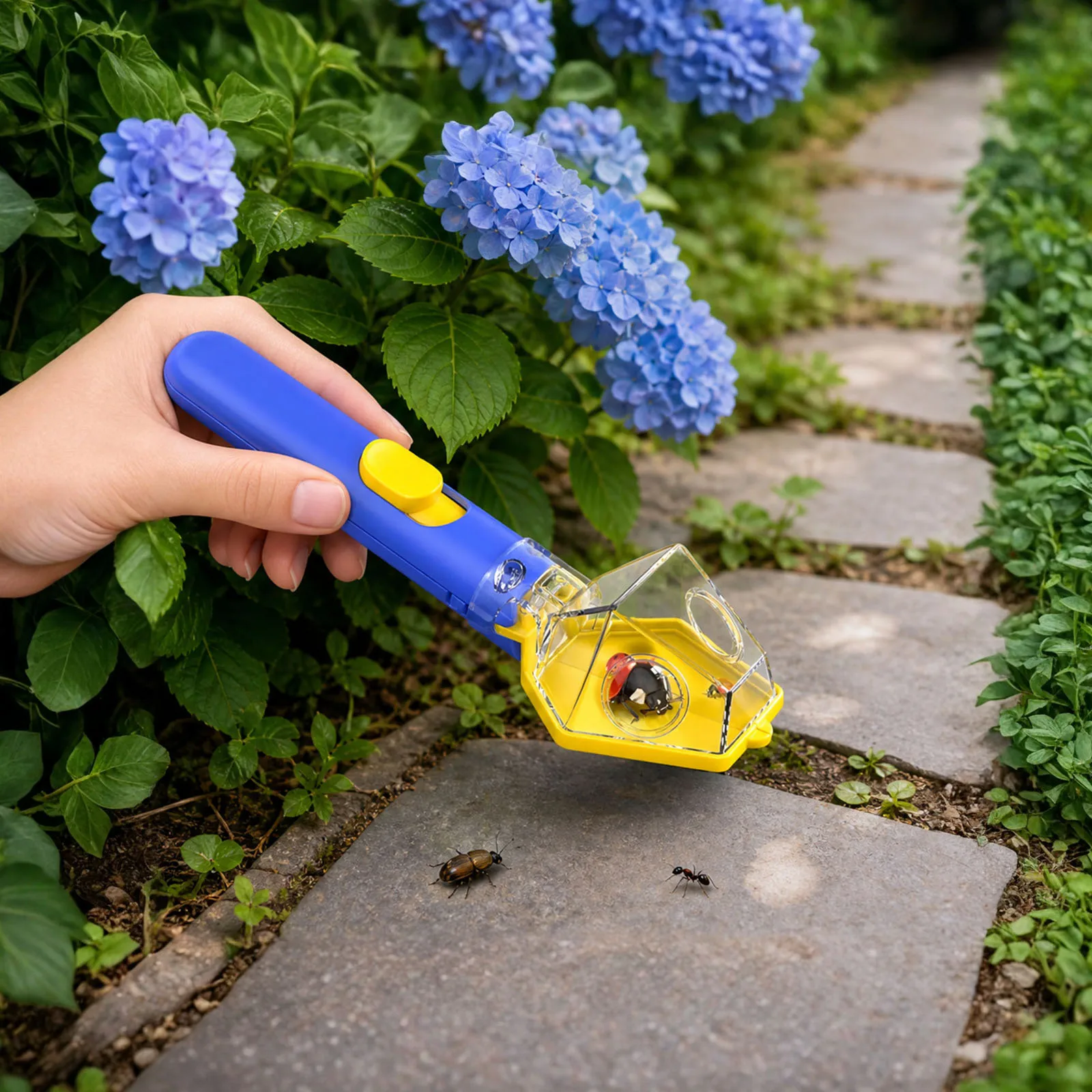 Kids Handheld Bug Catcher with 6X Magnifier Glass Transparent Spiders Observer Box for Outdoor Nature Educational Exploration
