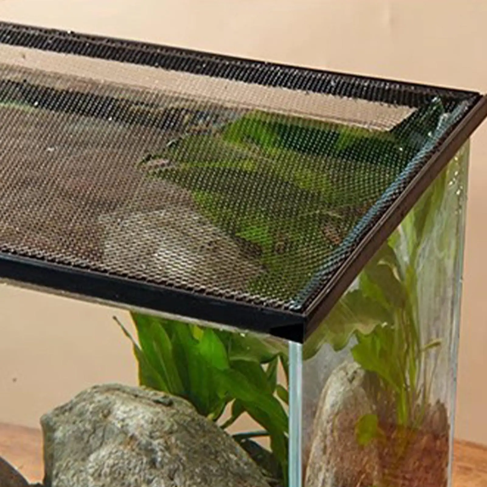 Thumbnail 4 - #24 Best Aquarium Fish Nets to Buy In 2026