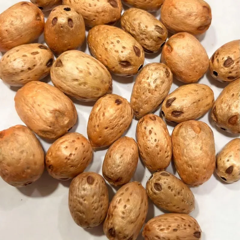 100-pecas-de-sementes-de-bodhi-naturais-personalizadas-para-pulseiras-e-colares-artesanais-contas-de-sementes-rudraksha-suprimentos-para-joias-diy
