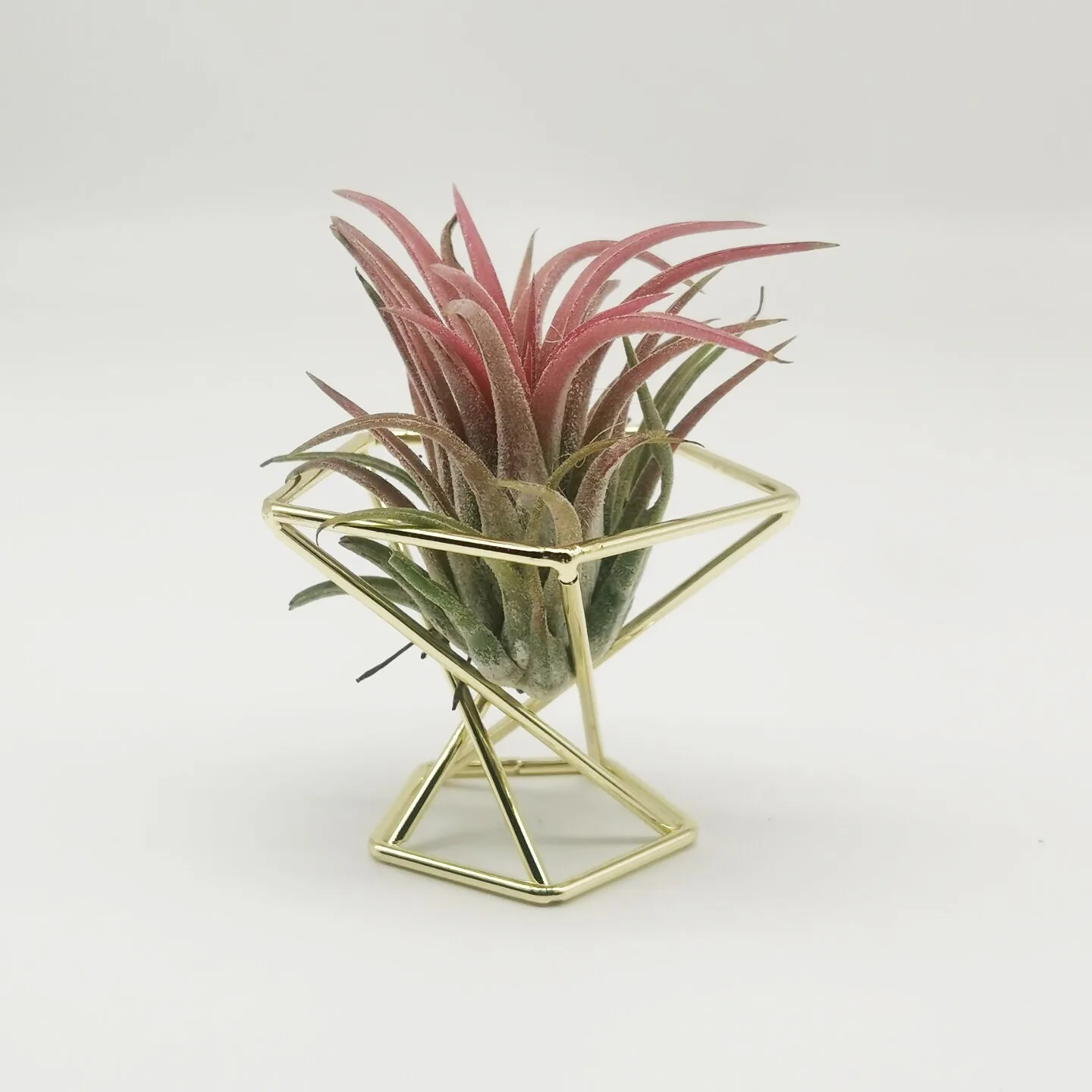 Pineapple Plants Stand Indoor Geometric Air Plant Shelves Iron Orchid Stand Beauty Egg Rack Flower Pot Stand