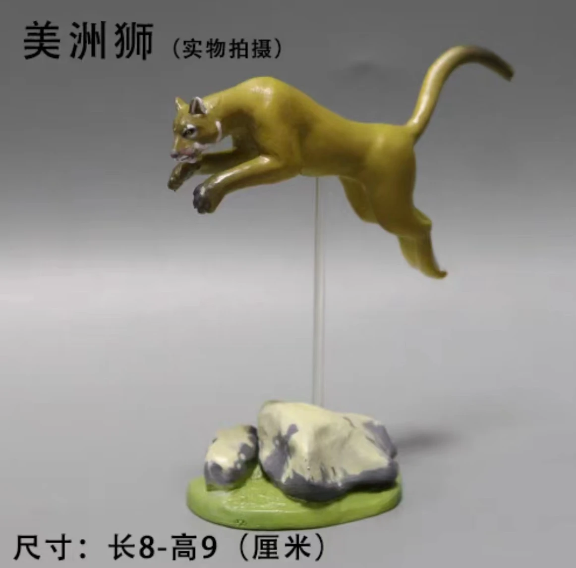 Miniature mini model  cougar puma mountain  liom