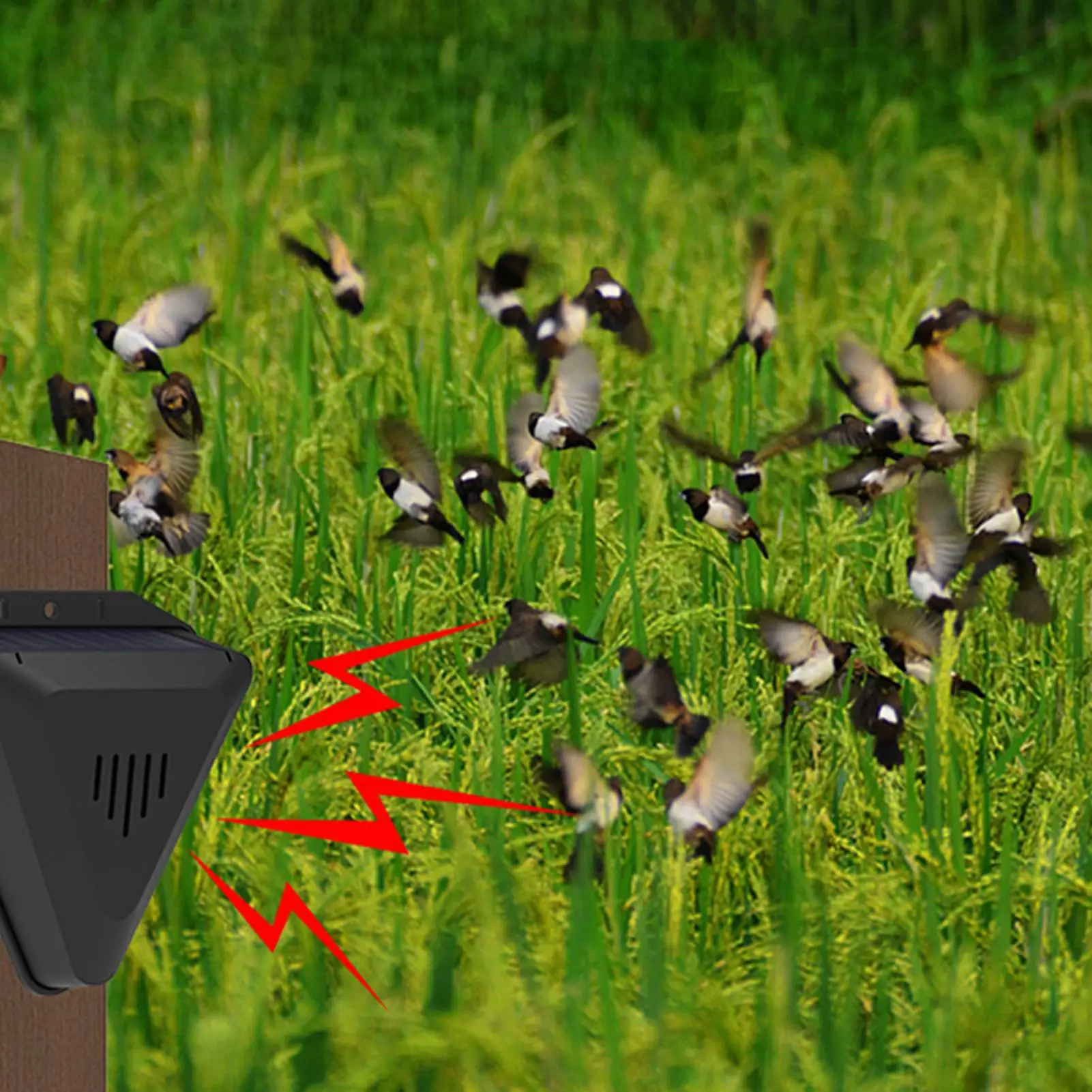 Solar Timer Animal Repeller Hanging Bird Repellents Outdoor Animal Deterrents With 13 Modes Sound Playback For Dogs cats