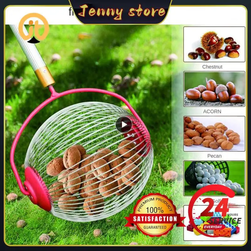 

Walnut Pickup New Adjustable Ball Collector Stainless Steel Garden Tools Tools Fruit Picker Garden Hand Tools Nut Collector