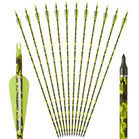 Toparchery 31.5Inch Mixed Carbon Arrows ID 6.2mm Plastic Feather Outdoor Target Hunting and Shooting