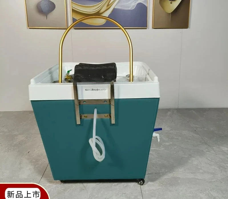 Movable Shampoo Basin Head Therapy Machine Supporting Massage Couch Facial Bed Fumigation Water Circulation Shampoo Machine