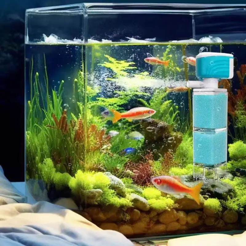 

Dynamic Aquarium Filtration with Oxygenation and Backflow Resistance for Healthier Tanks