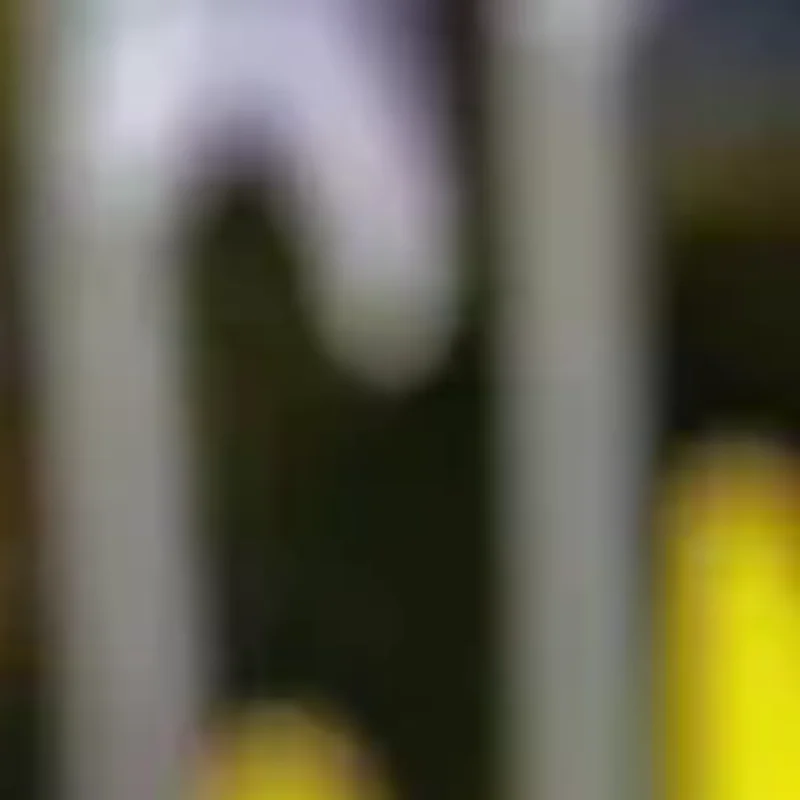 

12 стискающих игрушек Санта-Клауса с надувным шариком; Мягкие, медленно растущие игрушки для снятия стресса; Идеально подходят для рождественского декора и подарков на вечеринку.