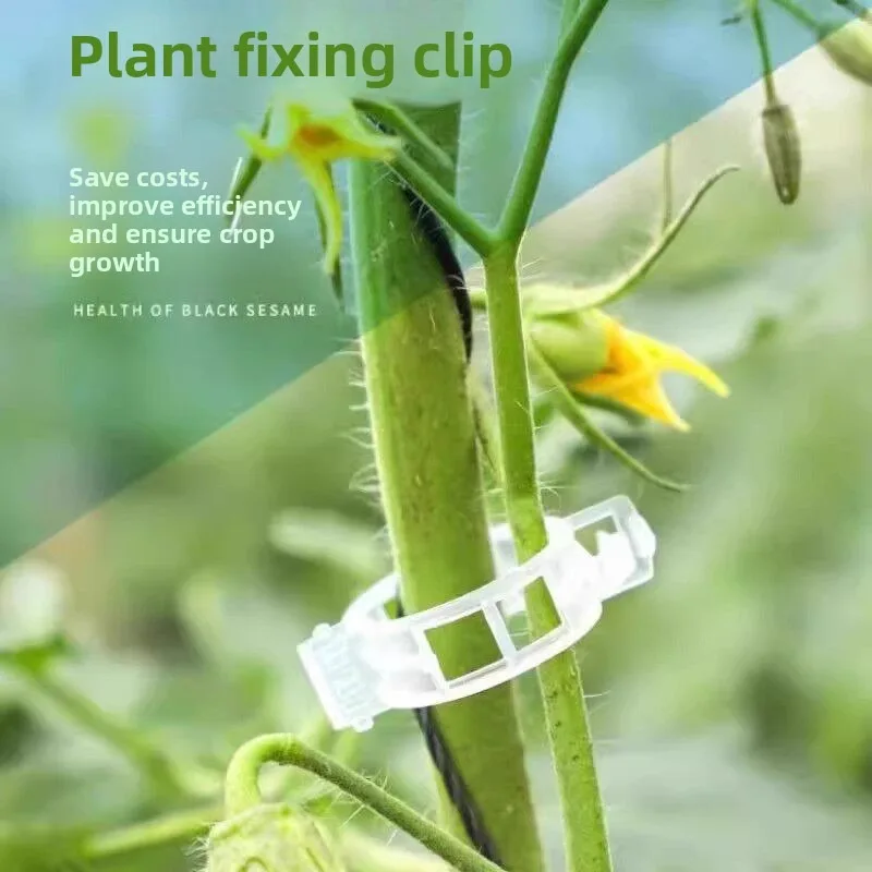 Vine Plant Clips Garden Trellis Clamps For Tomato Pepper Cucumber Climbing Vegetables Support Fasteners