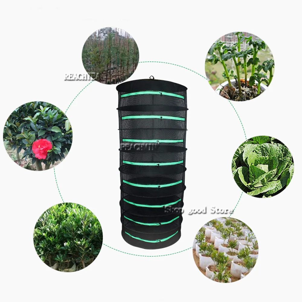 Filet de vaccage à 2/4/6/8 Niveaux de 60cm, mir Pliable T1 pour Plantes, Bourgeons et Fleurs