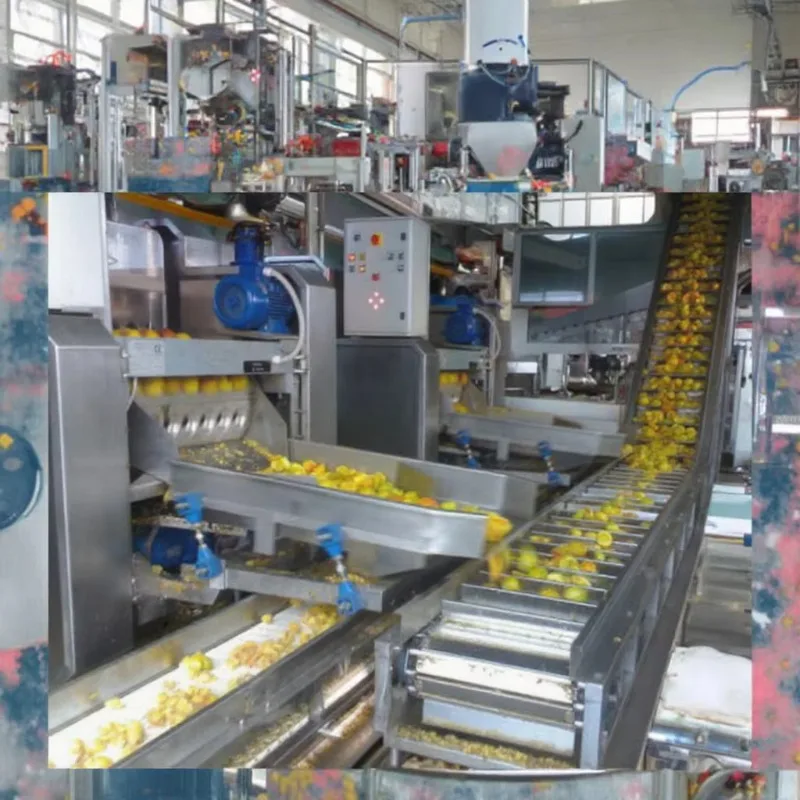 Custom Fruit Juicer Filling Machine Automatic Juice Production Line Complete Processing Equipment