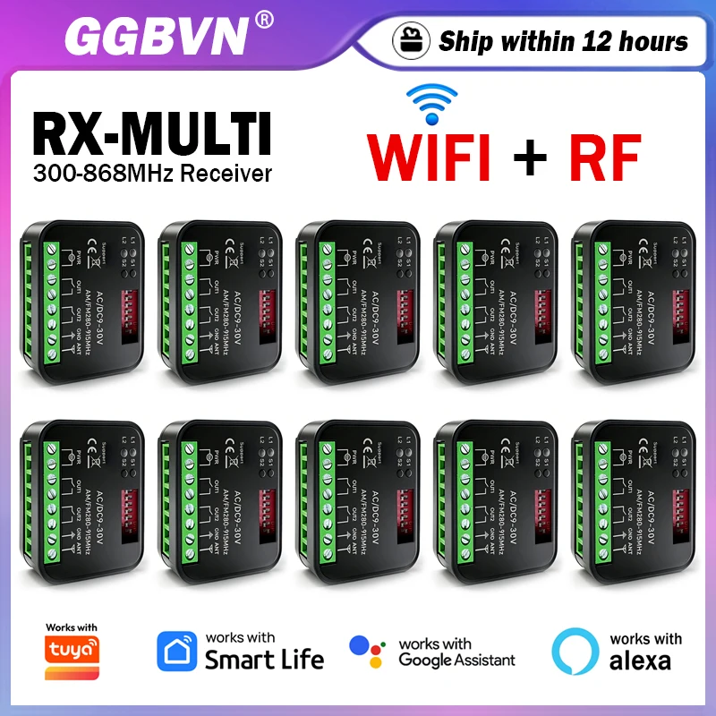 RX MULTI 300-868MHz Universal Garage / Gate Remote Control Receiver 2CH Relay Wifi Control Smart Switch Module Works With Tuya