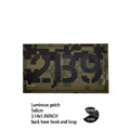 Luminous patch 6