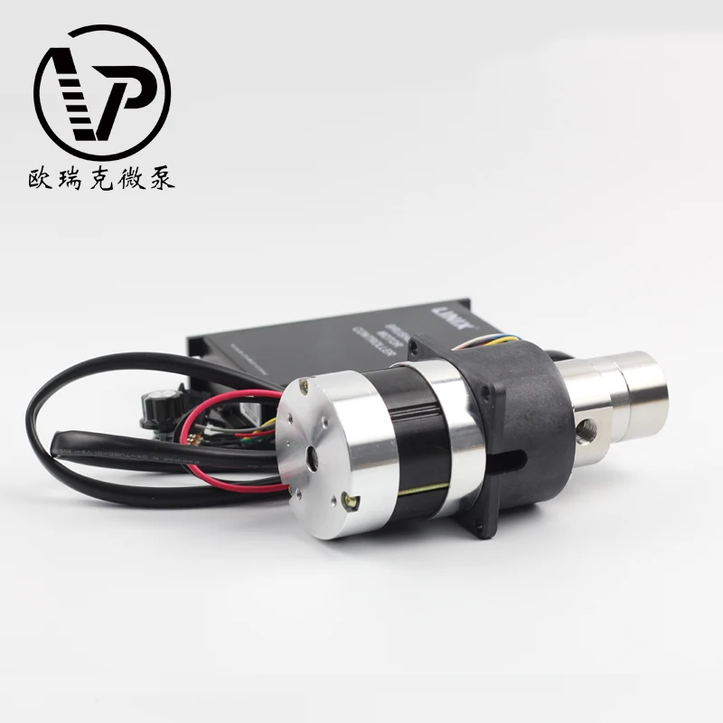 Chinese Factory Customized Safe And Stable With Variable Speed High Quality Low Noise Magnetic Drive Gear Pump