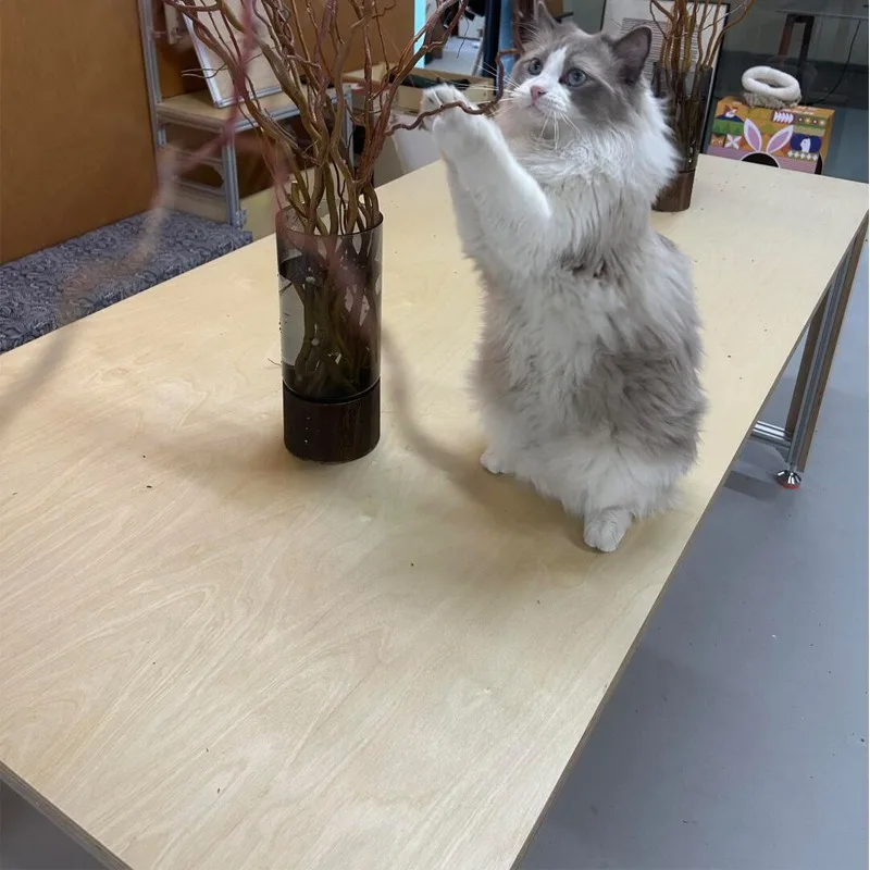 الألومنيوم الشخصي المحيط مجلس البتولا طاولة كمبيوتر مكتبية قابلة للإزالة بسيطة الحديثة #5