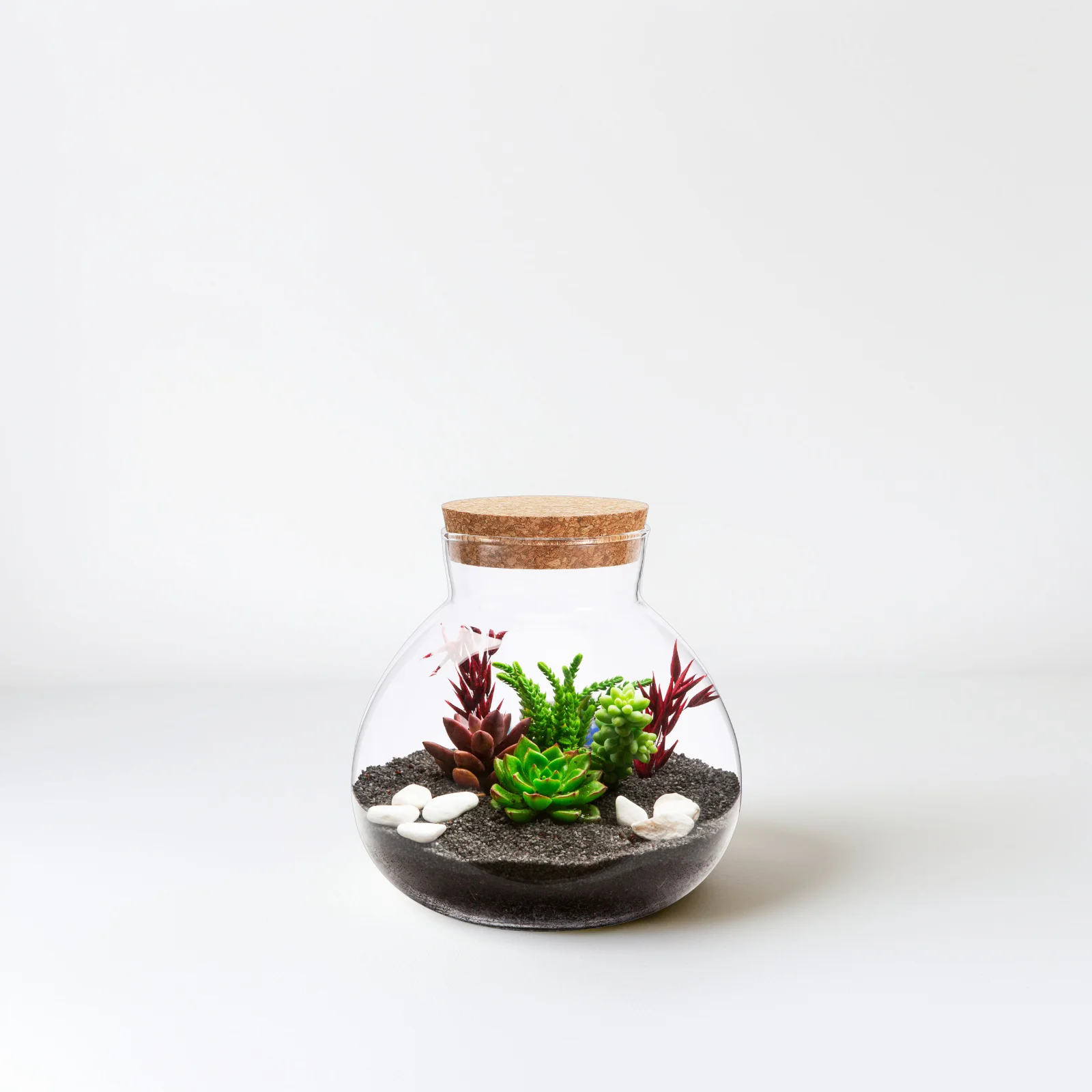 Micro Landscape Ecological Bottle Bowl Tank Vases Slug Fish Cookie Jars Plant Terrarium House