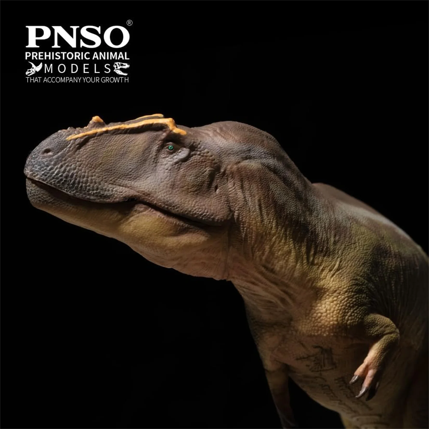 PNSO Tameryraptor 95 modelo adulto Animal prehistórico dinosaurio coleccionista figura arte científico decoración niños juguetes educativos regalo