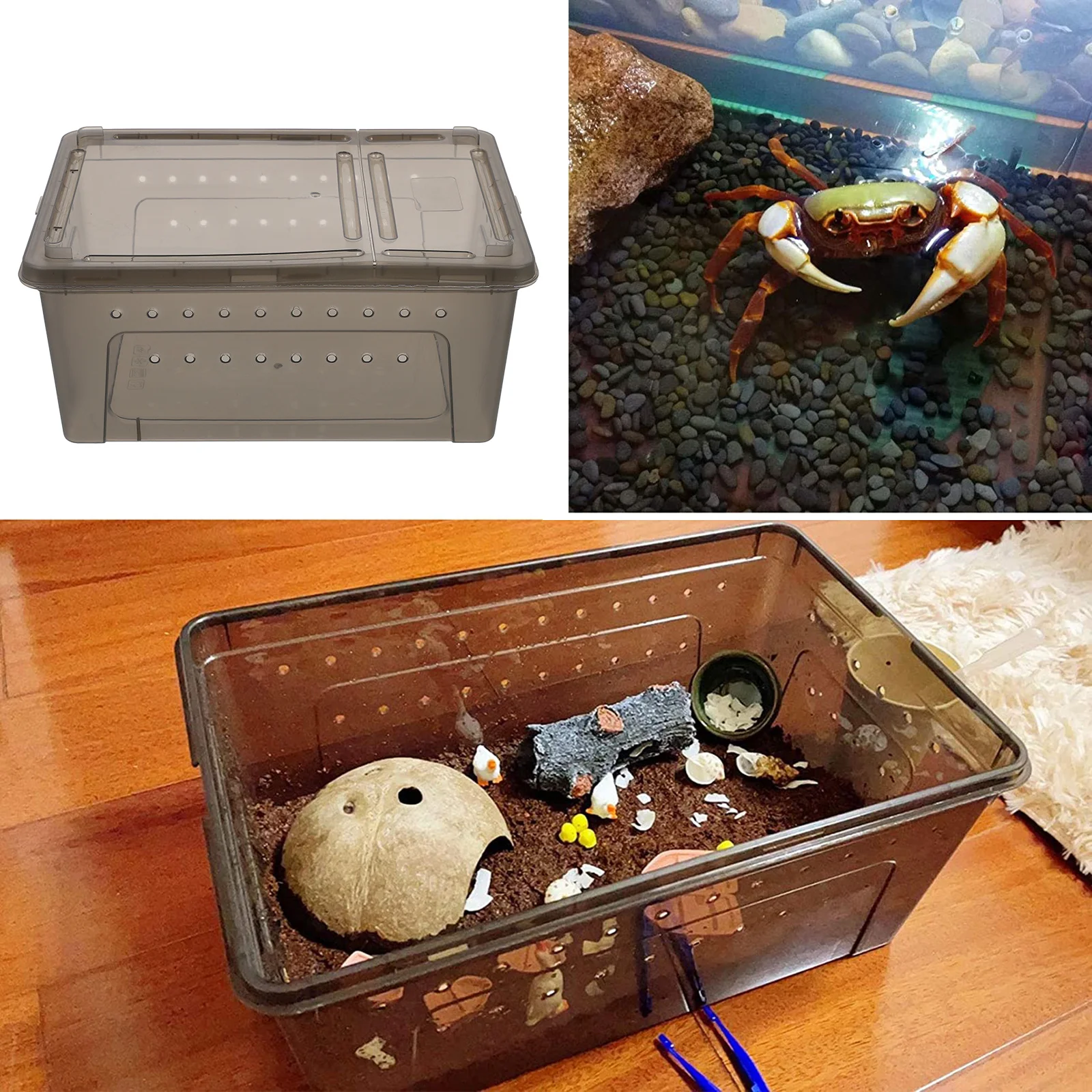 

Plastic Pet Breeding Box Reptile Terrarium Durable Ventilation Manual Assembly Safe Container for Small Crawlers Crab Spider
