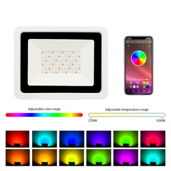 RGB Floodlight intelligent Bluetooth APP Control LED Projector RGBCW 50W 100W 220V AC garden party outdoor lighting APP Spotligh