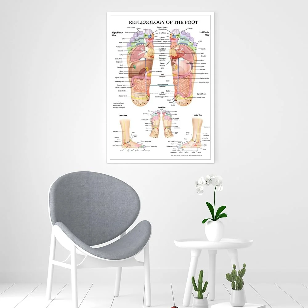 تدليك ريفلكسولوجي للقدم، مخطط الوخز بالإبر، التشريح، الفن، القماش، اللوحة، الملصق المطبوع، ديكور المنزل، التعليم الطبي
