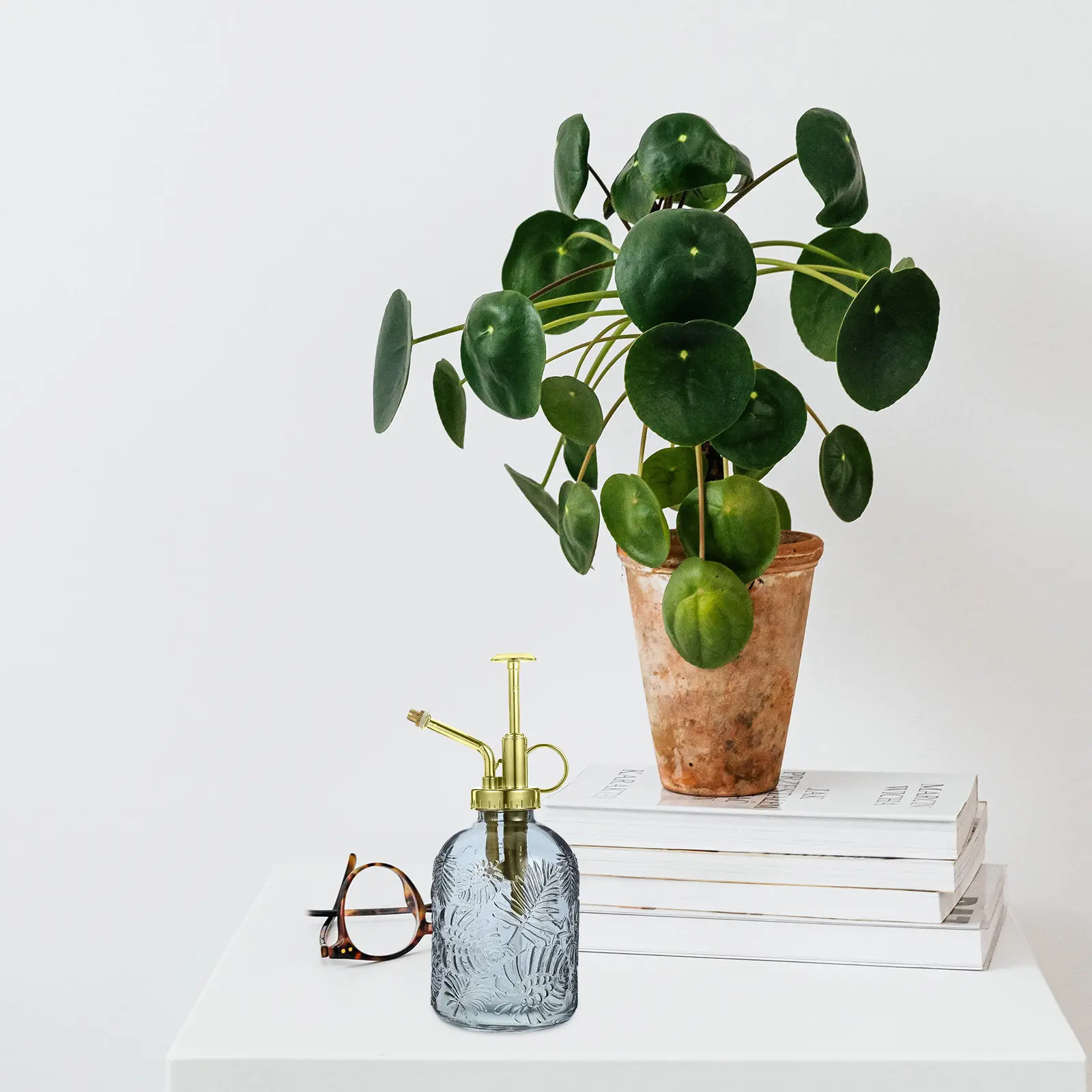 Glass Plant Mister Spray Bottle Small Watering Can Vintage Reusable Portable Watering Bottle for Home Garden Plants Flower Care