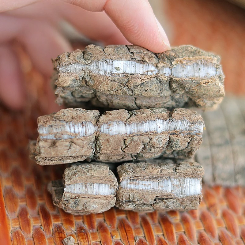 ต้นไม้เก่าปัดบล็อก Eucommia