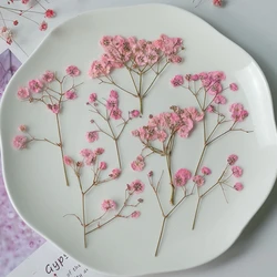 12pcs/5-8cm,New color pressed babysbreath dried flowers branches,DIY bookmarks table lamps nail art beauty cosmetics materials