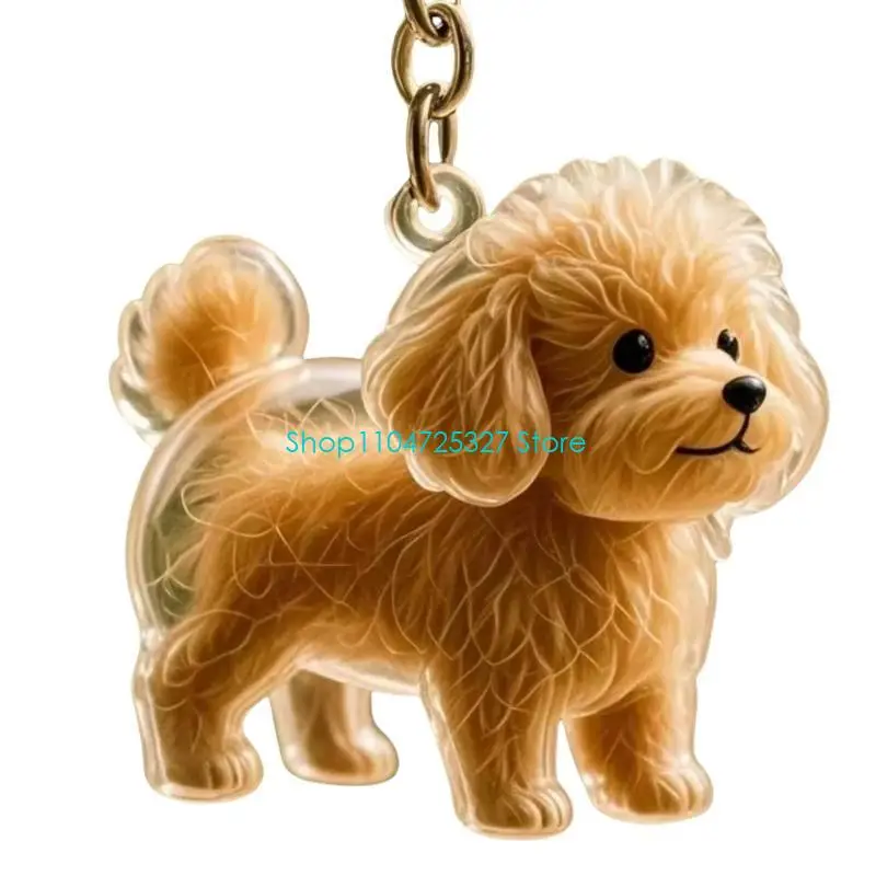 D8KF Clear Dog Hair Storage Box Keychain Memorial Jewelry With Secure Pet Loss Keepsakes For Emotional Supporting Gift