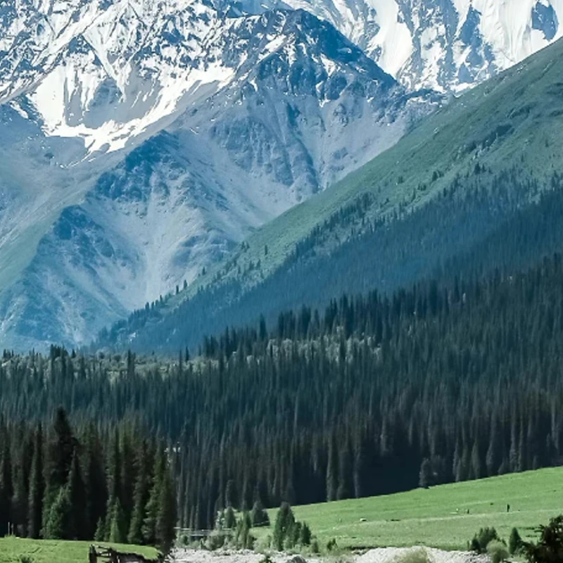 

HGLRC Thor PRO LIPO Балансное зарядное устройство 40A XT60 XT30 2-6S LIPO Разрядное устройство для IMAX B6 ISDT Q6 Nano HOTA D6 Pro P6