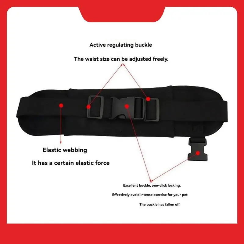 NEW-Dog For Running Leash Reflective Retractable Elastic Waist Belt Walking Traction Rope Pet Product