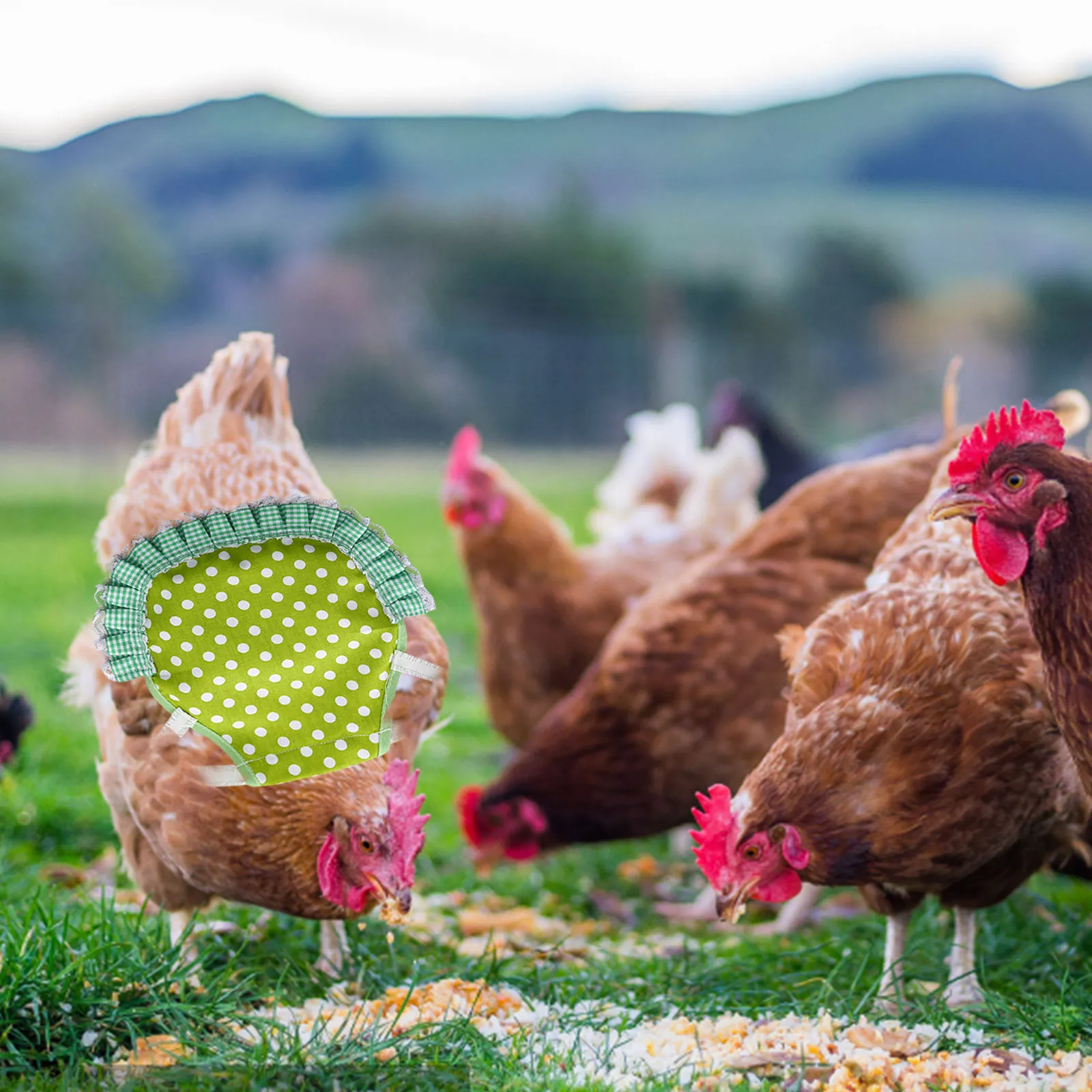 1PC grembiule da gallina elastico sella di pollo protezione piuma vestiti per animali domestici regolabili uccelli pollo vestito grembiule da