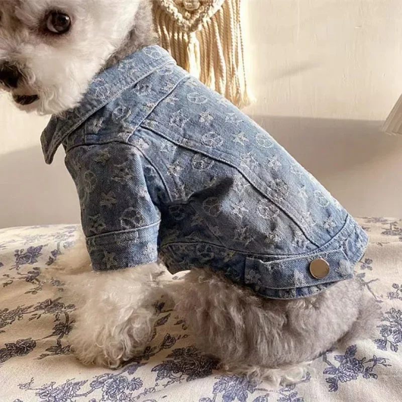 Abrigo de camisa de vaquero con patrón impreso completo, forro de mezclilla de algodón, mascota, otoño, invierno, Schnauzer, gatito, perro, perro de