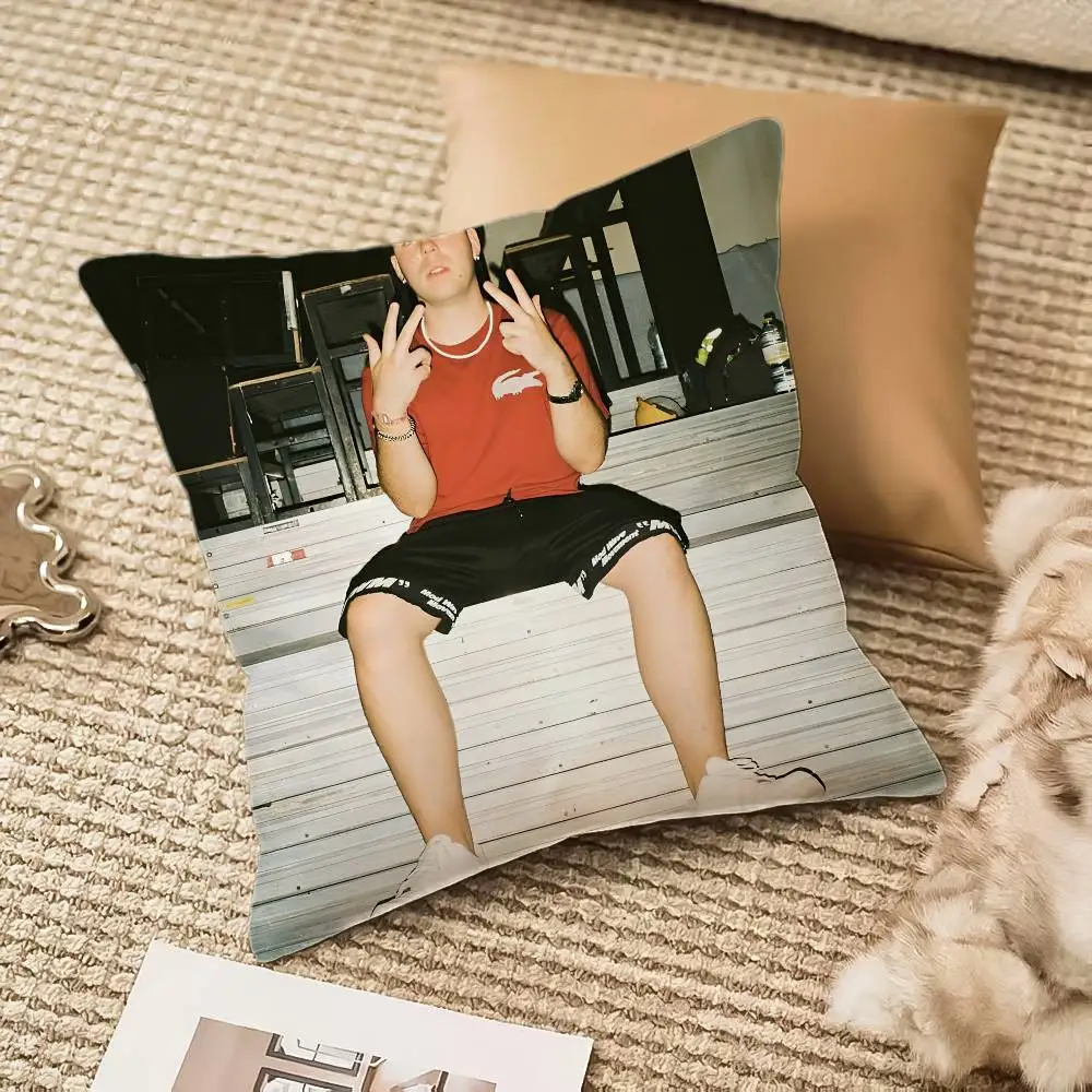 غطاء وسادة مغني الراب Q-Quevedo غطاء وسادة مضاد للغبار وسحاب غير مرئي أريكة حريرية من القطيفة