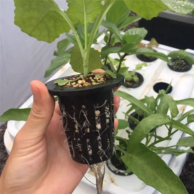 100 szt. Czarne Plastikowe Kosze Mocujące Ogrodnicze Bezglebowe Siatkowe Kubki do Roślin, Doniczki, Wiaderka, Kosze do Hydroponiki-AT36