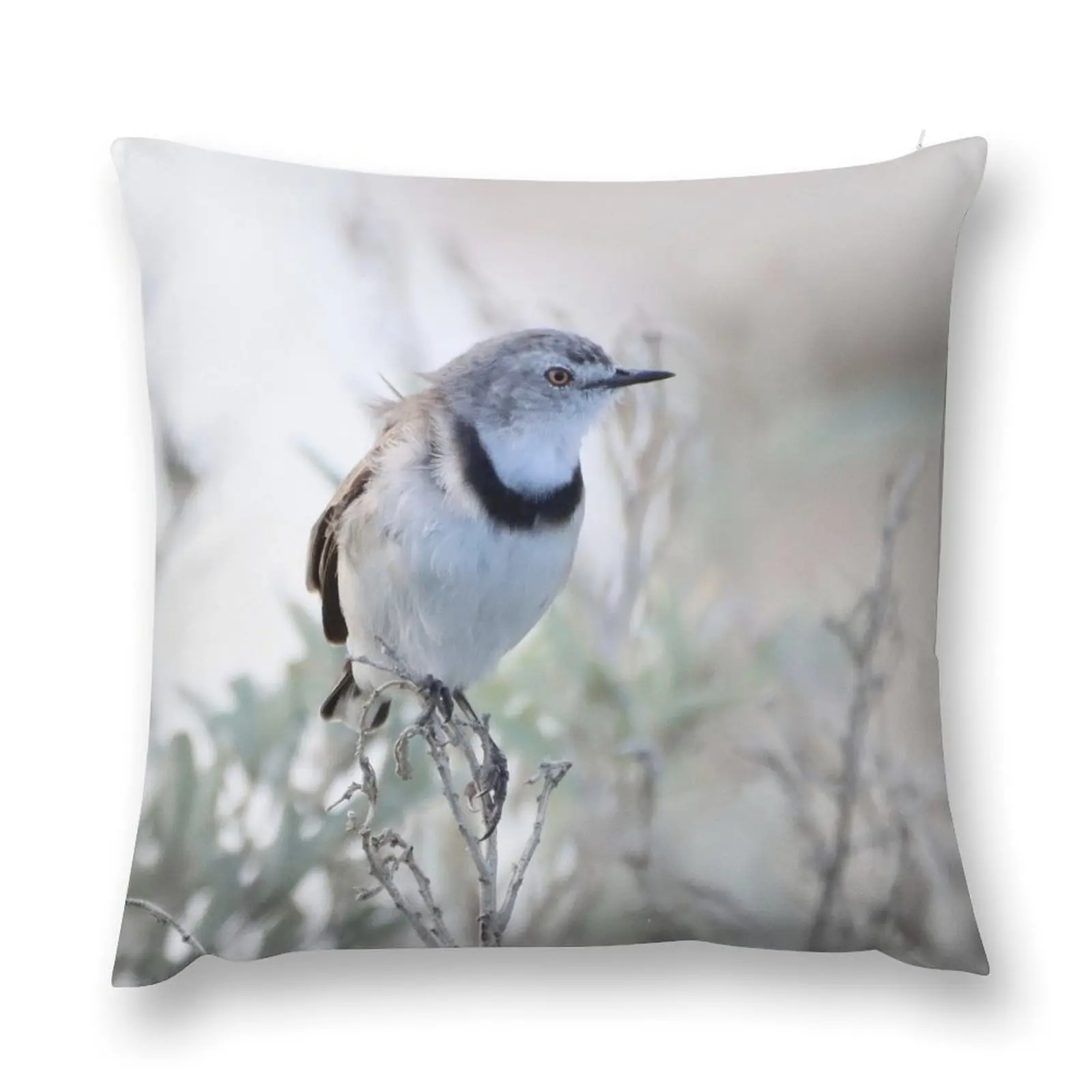 Bird throw pillow,Australian native throw pillow,Chat throw pillow Pillow Sofa Covers Room decorating items pillow