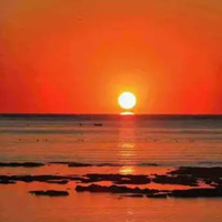 SS21 Ink Cartridge Chip Permanent Chip for Mimaki JV300 JV150 CJV300 CJV150 JV300-160 printer ARC Chip