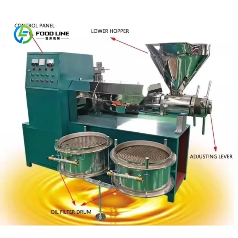 Customized Commercial Cold Press Oil Extractor for Olive Almond Flax Seed 220V 800W 25-40kg/h Food Grade Material High Purity