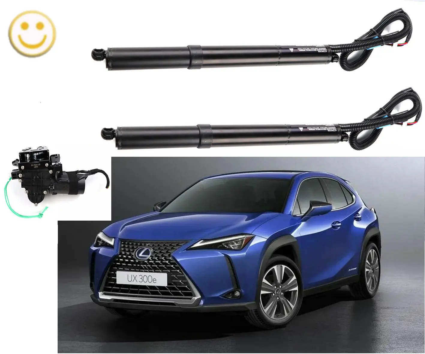 Smart Car Accessories Electric Tail Gate Electric Tailgate DS-307 for Car Lexus UX  Gate Door Power Operated Trunk