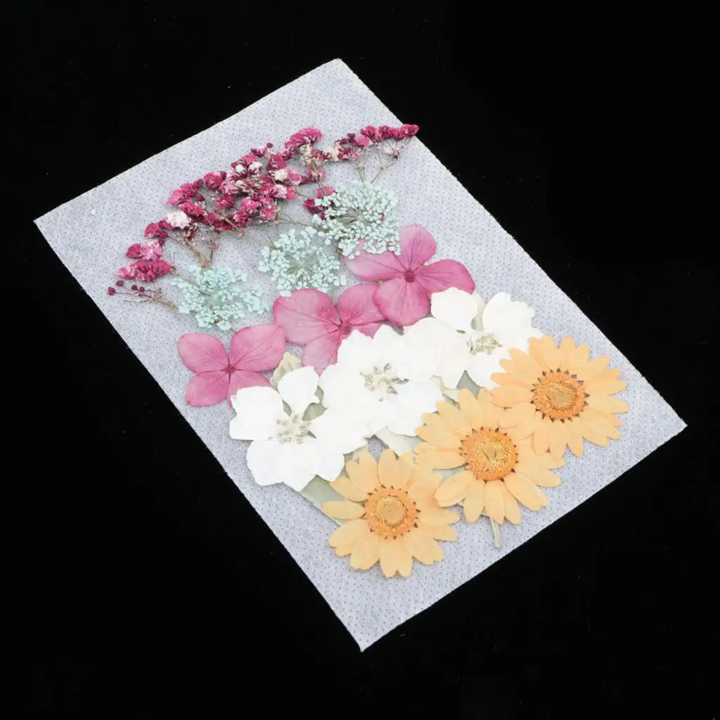 1 Pack Pressed Dried Flowers Leaves for Epoxy Resin Jewelry Making Craft DIY