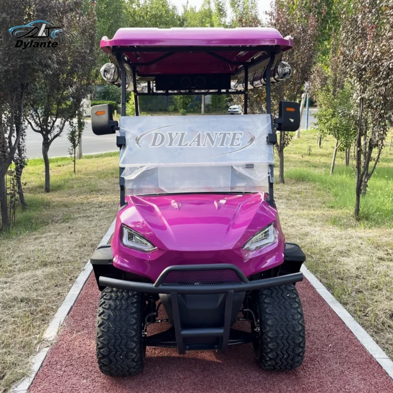 2025 Hot Sale Electric Model 48V AC Motor Golf Cart Custom Gasoline Driven 2+2 Seat With Folding Back Seat Off-road Hunting Car